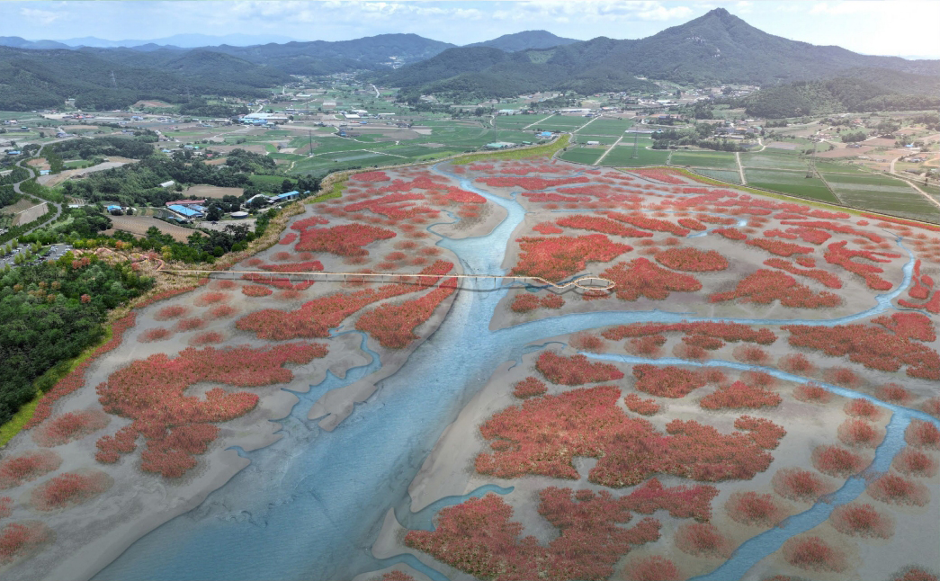 서산시 가로림만 갯벌식생 복원사업(공사)